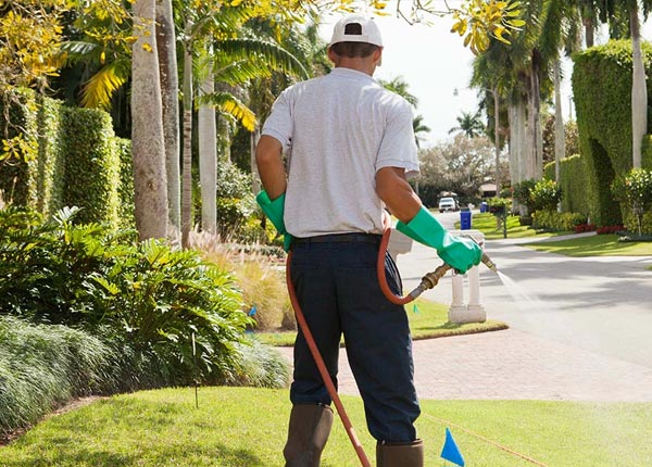 About Blue Creek OH Pest Control